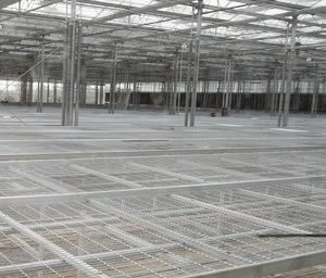 大棚移動(dòng)苗床